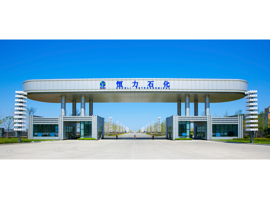 大连恒力石化